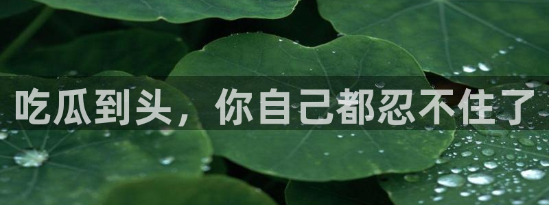 吃瓜什么意思：吃瓜到头，你自己都忍不住了