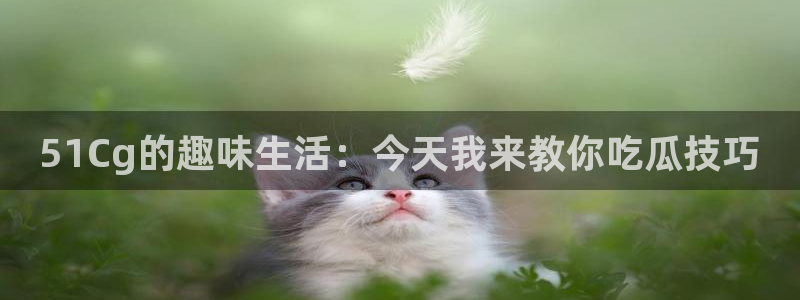 yourport吃瓜网