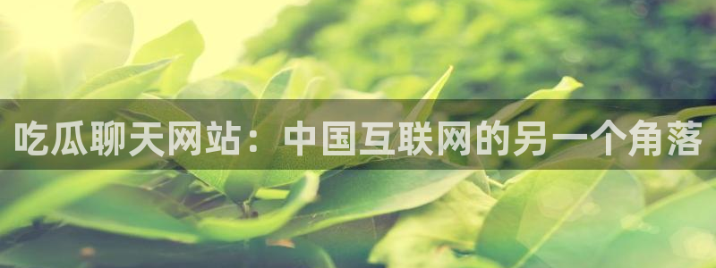 www.吃瓜：吃瓜聊天网站：中国互联网的另一个角落