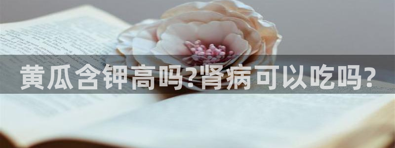 51吃瓜备用线路
