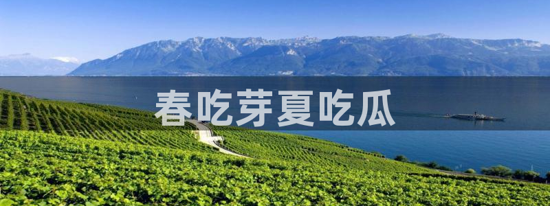 板栗瓜怎样做最好吃：春吃芽夏吃瓜