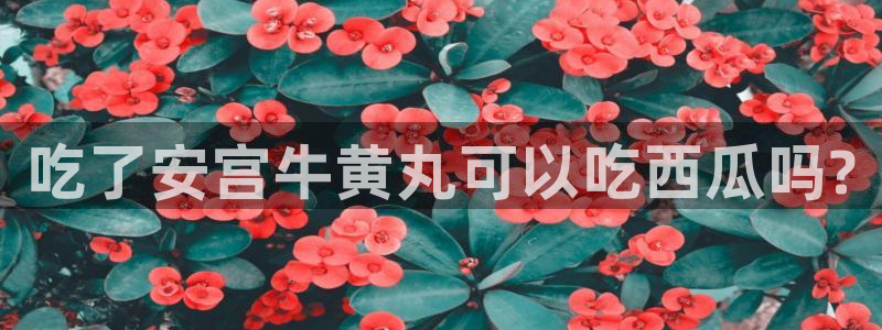吃小瓜会长胖吗：吃了安宫牛黄丸可以吃西瓜吗?