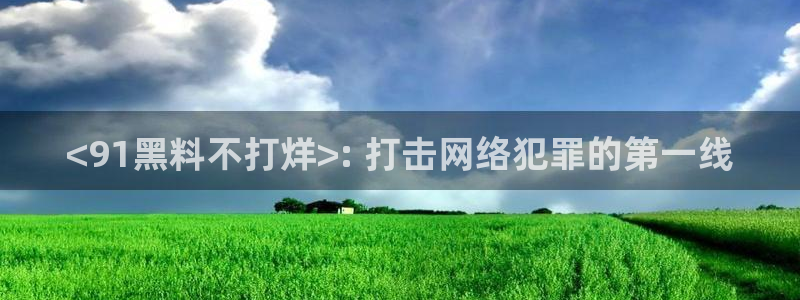 ccgg.ct今日吃瓜：<91黑料不打烊>: 打击网络犯罪的第一线