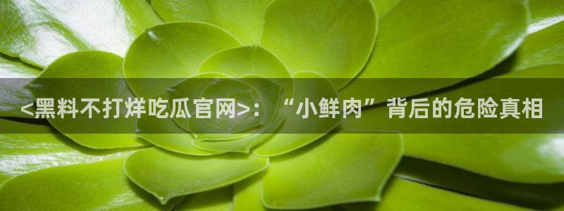 91吃瓜今日吃瓜入口：<黑料不打烊吃瓜官网>：“小鲜肉”背后的危险真相