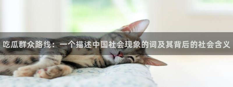 51cgfun吃瓜网 必看大瓜